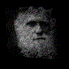 Avatar du membre