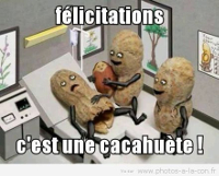 Avatar du membre