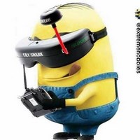 Avatar du membre