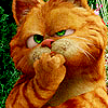 Avatar du membre